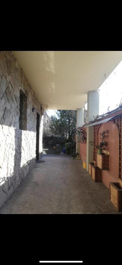 Yellow House Διαμέρισμα Τορίνο Εξωτερικό φωτογραφία